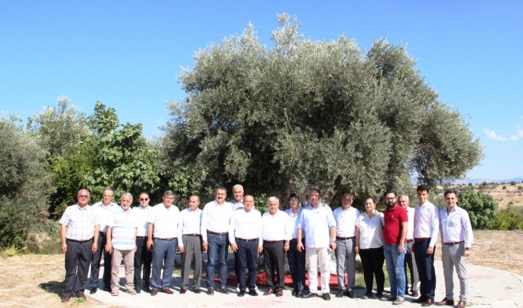 Zeytin Ve Zeytinyağı Sektörü Yeni Sezon Öncesi Buluştu