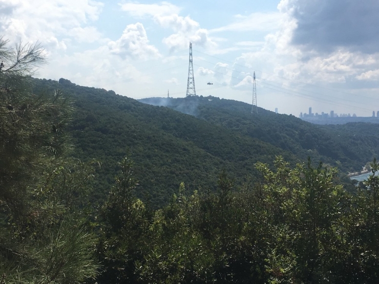 Anadolu Kavağı’nda Korkutan Orman Yangını