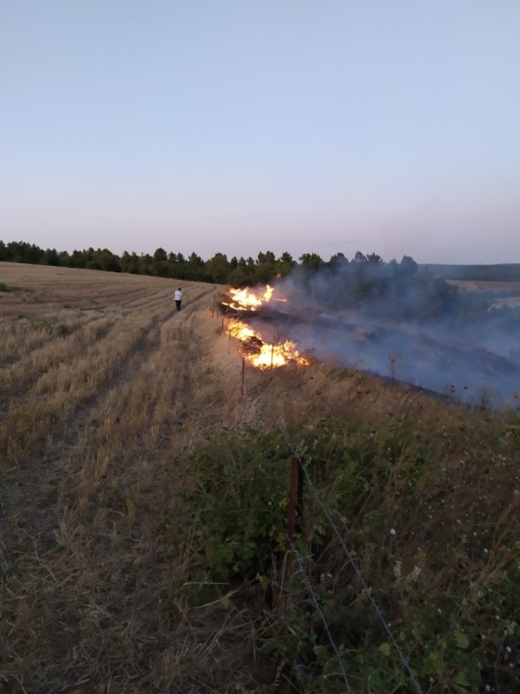 Yenişehir’de Çamlık Alanda Çıkan Yangın Söndürüldü