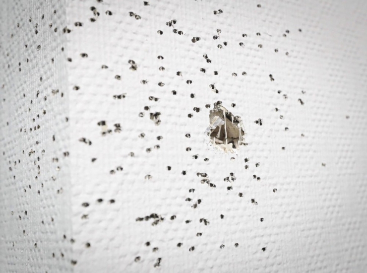 Bakan Çavuşoğlu, Norveç’te Saldırıya Uğrayan Camiyi Ziyaret Etti