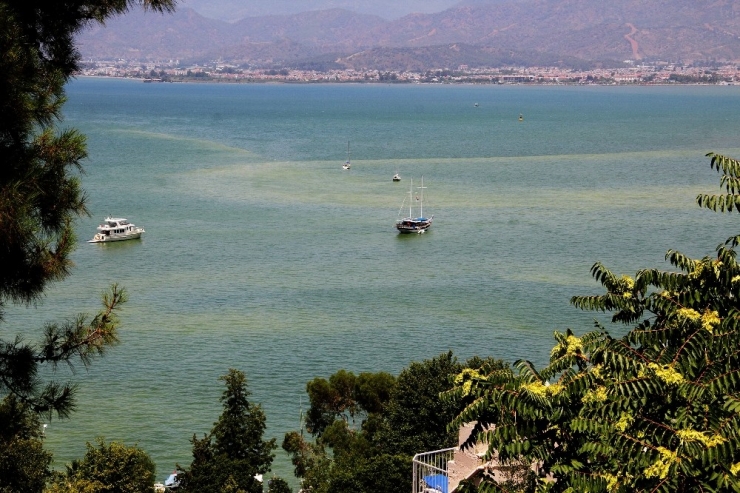 Fethiye Belediye Başkanı Karaca’dan Fethiye Körfezi Kirliliği Açıklaması