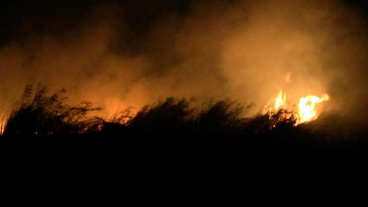 Hatay’da Sazlık Alanda Yangın