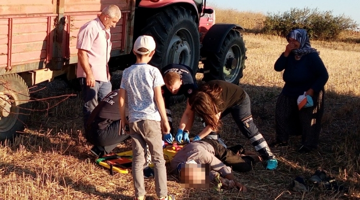Traktöre Yüklediği Çalıların Üzerinden Düşüp Yaralandı