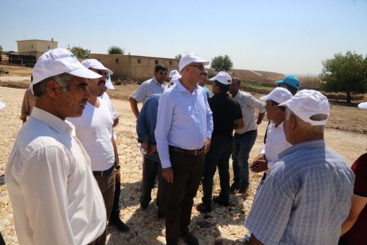 Vatandaşlardan Kuş’a Teşekkür