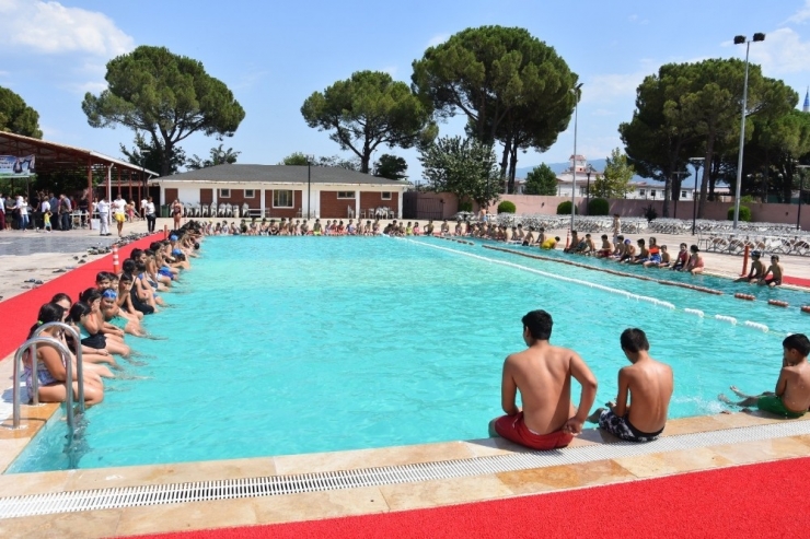 Yüzmeyi Öğrendiler, Sertifikayı Kaptılar