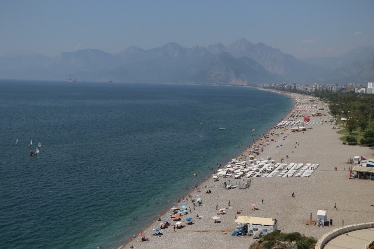 Antalya Körfezi’ne Ulaşan Denizanaları Besin Eksikliğinden Ölüyor, Tehlike Yok Oluyor