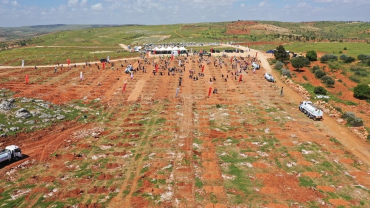 Arıl’daki 84 Bin 750 Fidan Gelecek Nesiller İçin Büyütülüyor