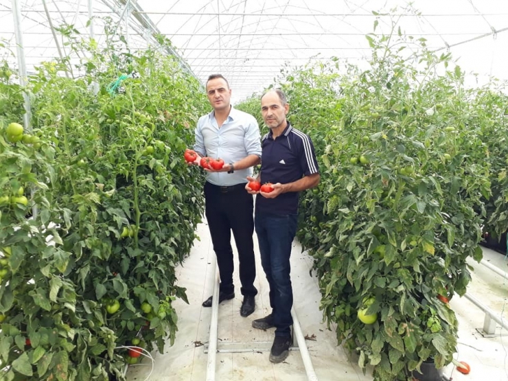 Kırsal Kalkınma Yatırımlarına Yüzde 50 Hibe Desteği