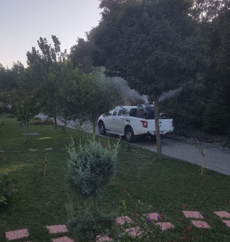 Körfez’de Sinekle Mücadele Sürüyor