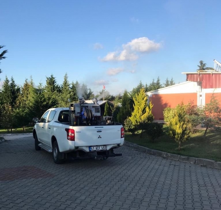 Körfez’de Sinekle Mücadele Sürüyor