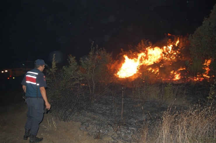 Tekirdağ’da Korkutan Yangın: Yüzlerce Çam Alev Alev Yandı