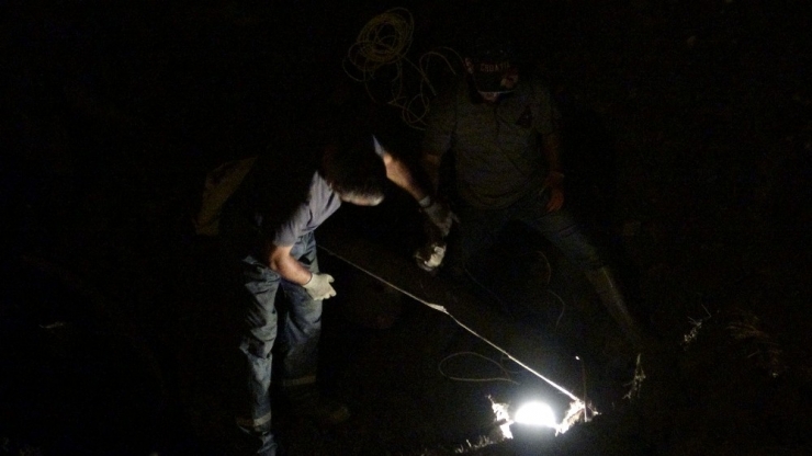 Nato Hattında Sızıntı Paniği...büyük Seferberlik