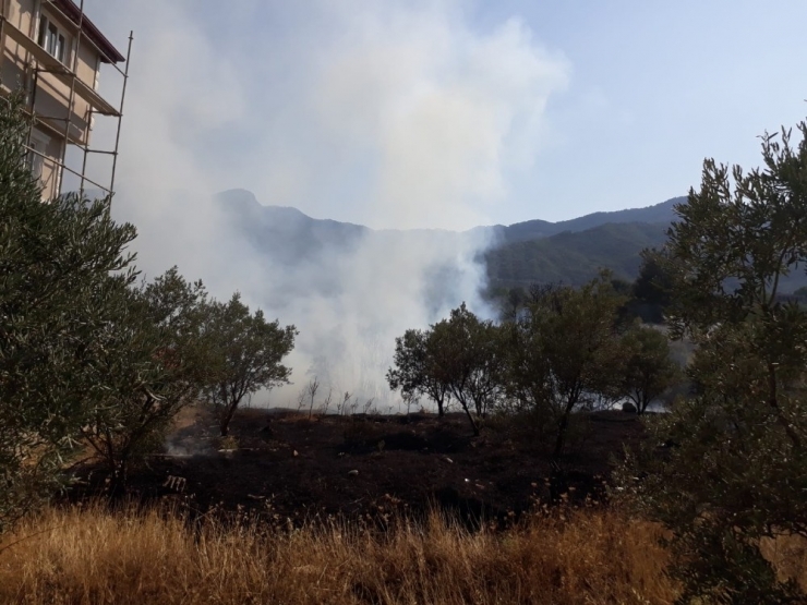 Ot Yangını Korkuttu