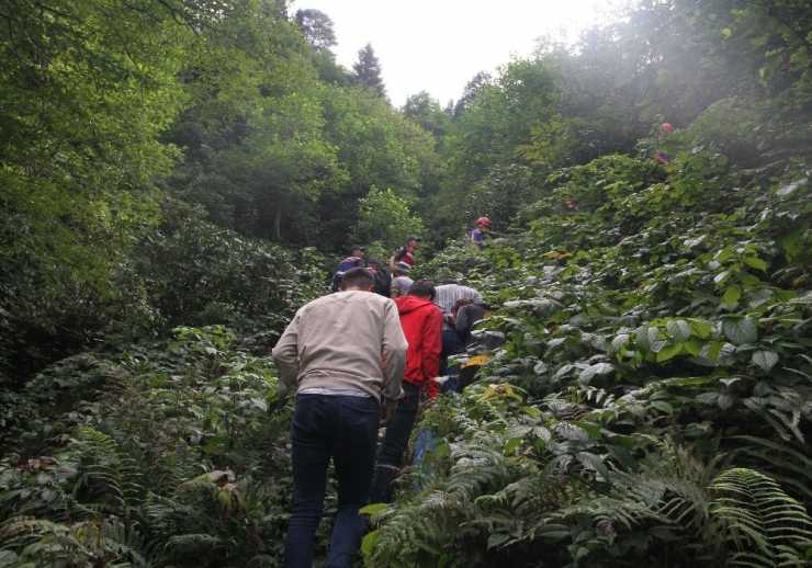 Yaylada Haber Alınamayan 6 Kişi İçin Arama Kurtarma Çalışması Başladı