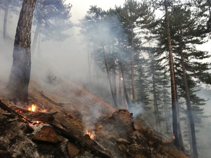 Afyonkarahisar’da Orman Yangını