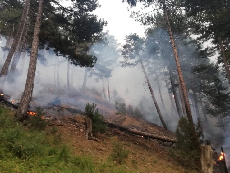 Afyonkarahisar’da Orman Yangını
