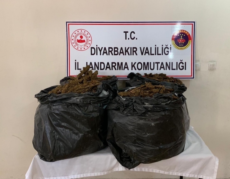 Diyarbakır’da 66 Kilo Esrar Ele Geçirildi