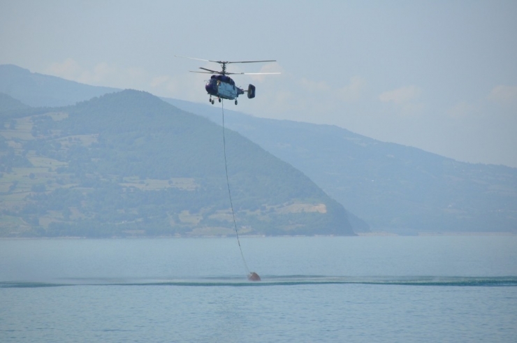 Sinop’ta Şüpheli Orman Yangını