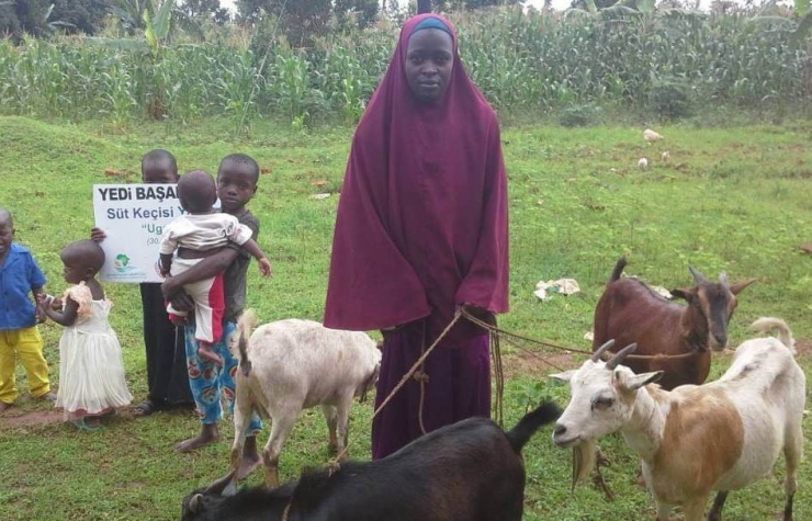 Yedi Başak İnsani Yardım Derneği’nden Afrika’da "Süt Keçisi Projesi"