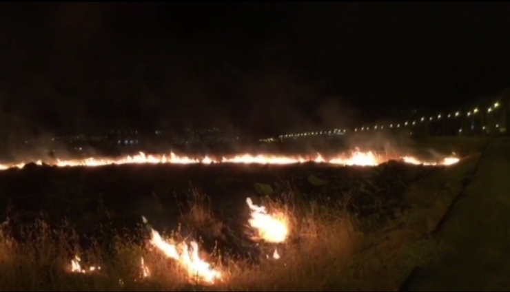 Yol Kenarında Çıkan Yangın, Fıstık Bahçesine Sıçramadan Söndürüldü