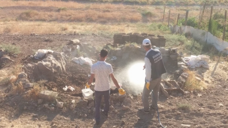 Büyükşehir Belediyesi, İlaçlama Çalışması Başlattı