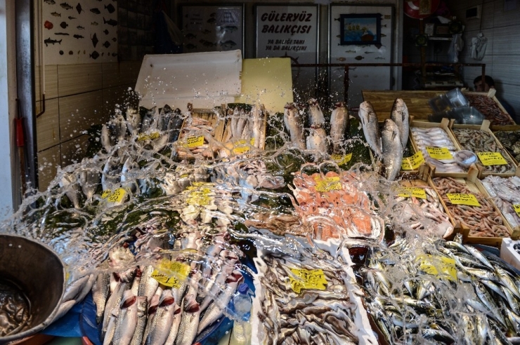 Balıklar Tezgahlara Serildi