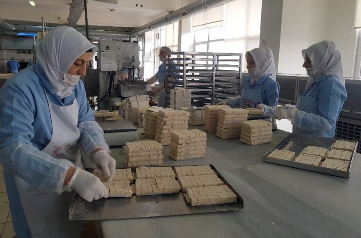 Siyez Unu Çekme Helvada Hayat Buldu