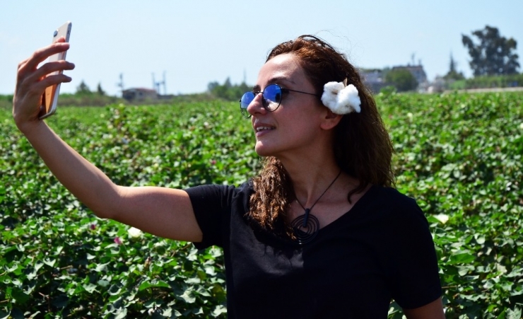 Pamuk Üreticisi En Az 1.25 Lira Destek Bekliyor