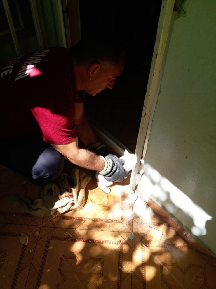 Ayağı Demir İle Duvar Arasına Sıkışan Kedi Kurtarıldı