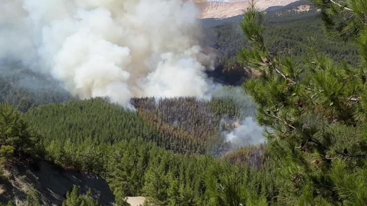 Kaş’ta Orman Yangını