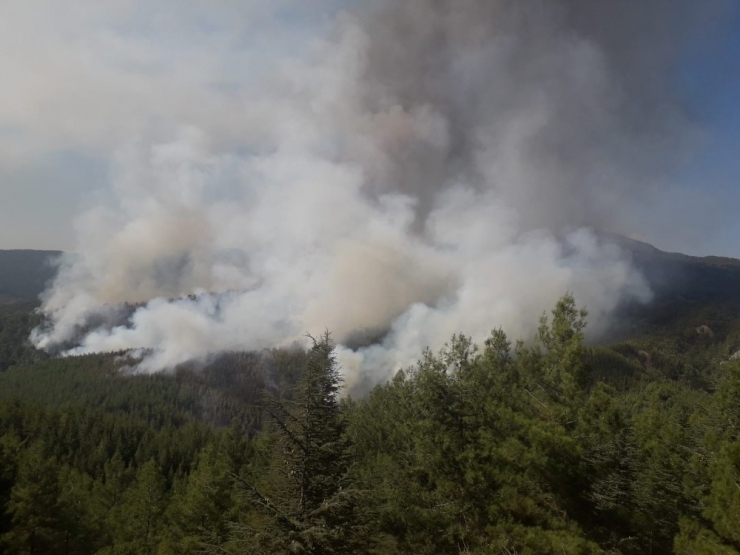 Kaş’ta Orman Yangını