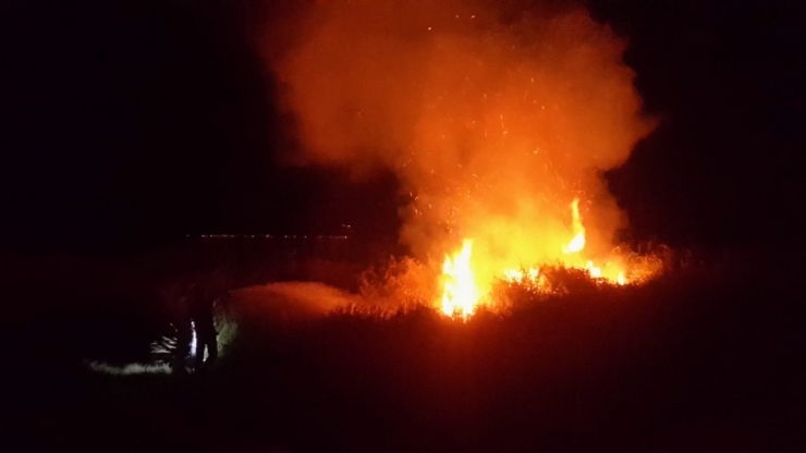 İznik’te Çalılık Alandaki Yangın Korkuttu