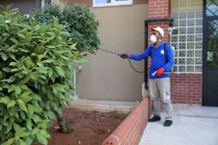 Haliliye’de Haşereyle Mücadele Sürüyor