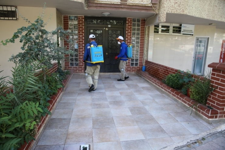 Haliliye’de Haşereyle Mücadele Sürüyor