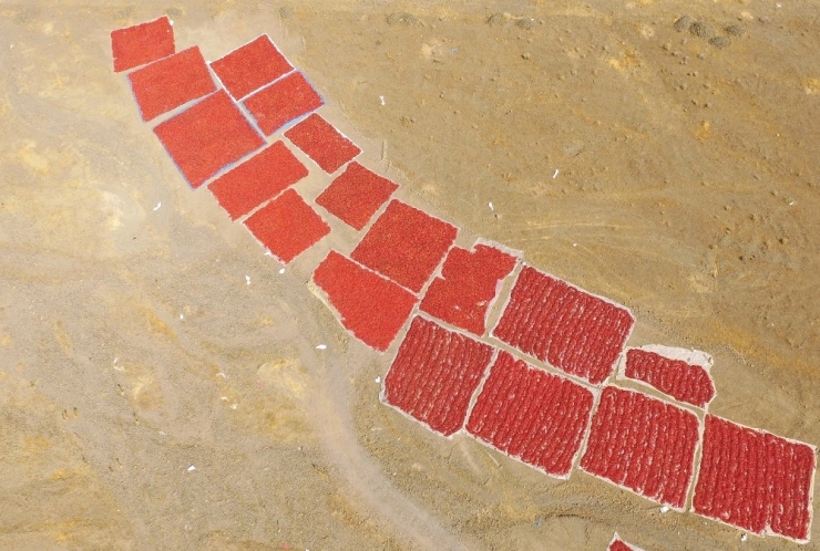 Dondurma Şehrinde Acı Telaş