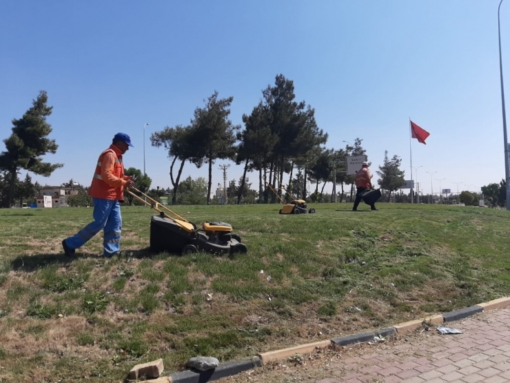 Parkların Bakımları Yapılıyor