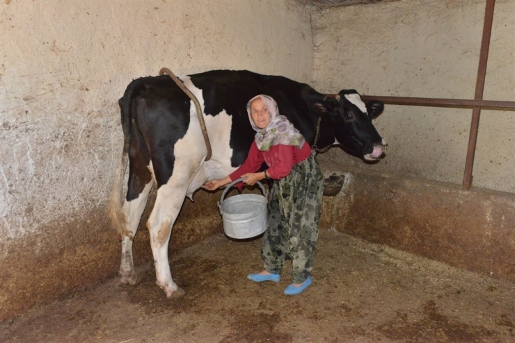 Mersin Orman Bölge Müdürlüğünden 129 Aileye 3,5 Milyon Lira Orköy Kredisi