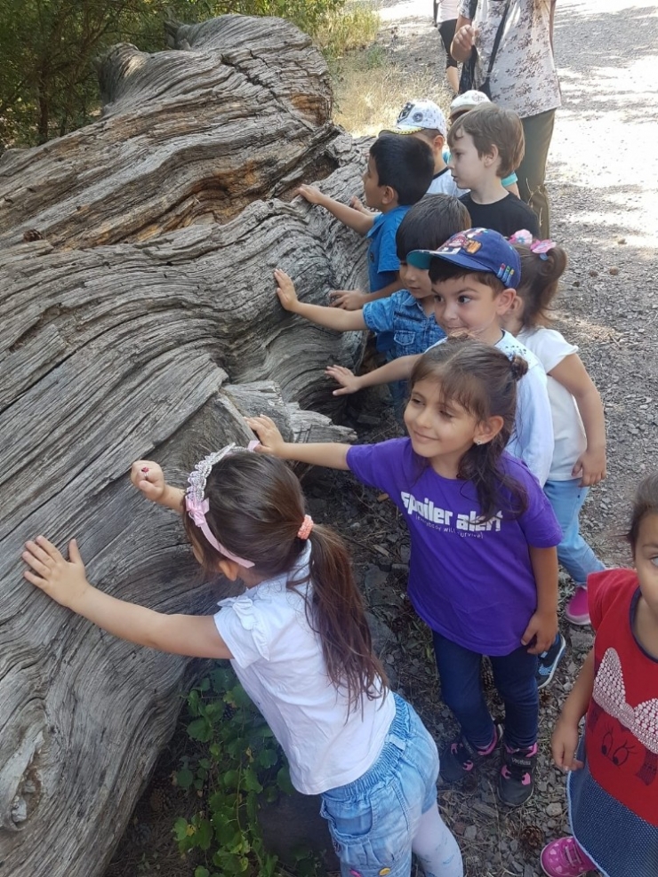 Miniklerden Orman Yangınlarına Tepki Yürüyüşü