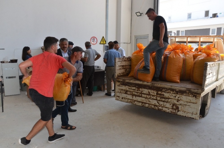 Fındıkta Nem Oranına Dikkat