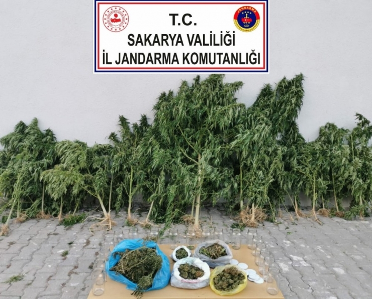 Sakarya’da Jandarmanın Ağustos Ayı Raporu: 67 Tutuklama