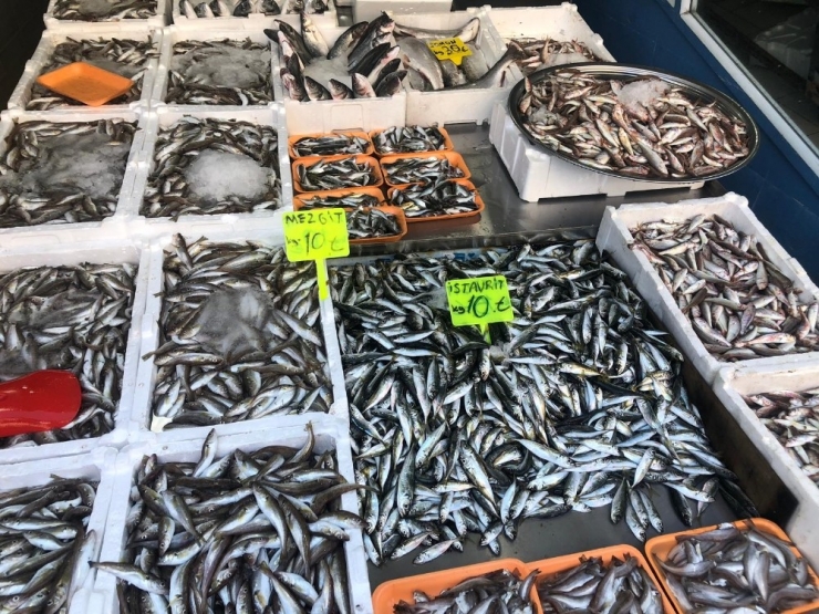 Mezgit Ve İstavrit Bolluğu Tezgahları Süsledi