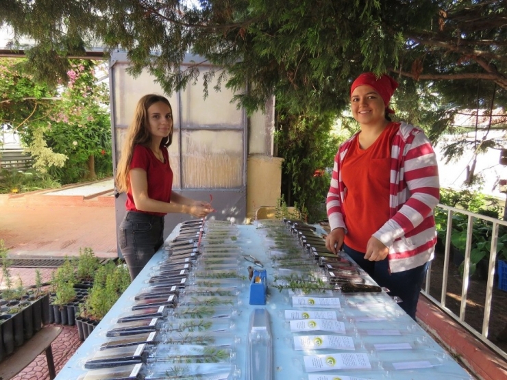 Orman Fidanlığına Üniversiteli Eller Değiyor
