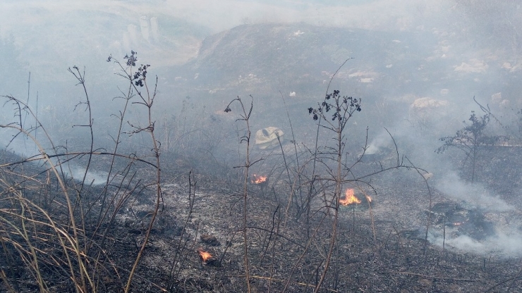 Lastik Yakarken Yangın Çıkardılar