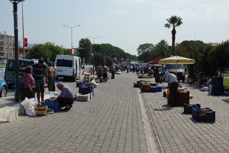 Kuru İncir Pazarda 40 Tl’ye Kadar Alıcı Buluyor