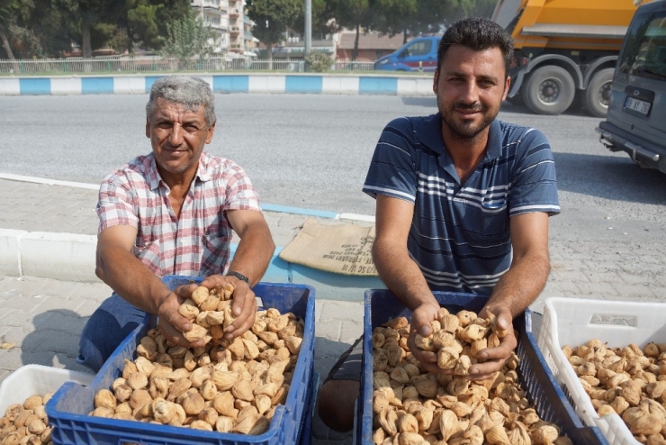 Kuru İncir Pazarda 40 Tl’ye Kadar Alıcı Buluyor