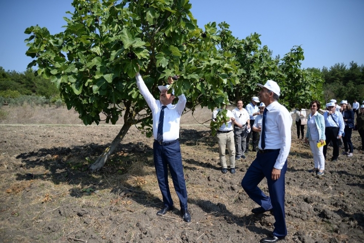 Üniversite Yönetimi Tarlada