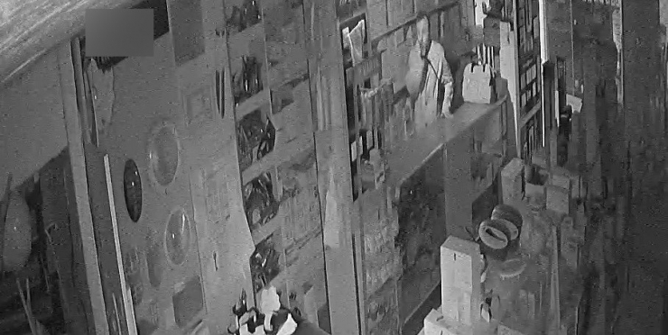 Suç Makinesi Akıl Hastası Genç, Adliyeye Gülerek Geldi