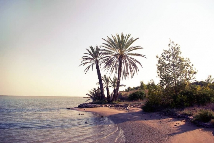 Yumurtalık Lagünleri Milli Park Statüsüne Geçti