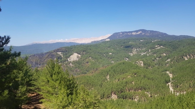 Kaş’ta Orman Yangını Söndürüldü
