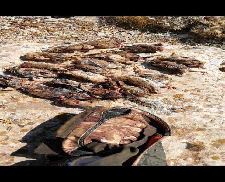 Kaçak Avcılara Ceza Yağdı